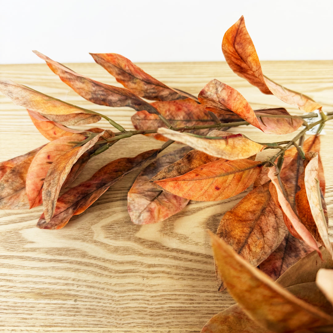 Croton Spray, 3 colors