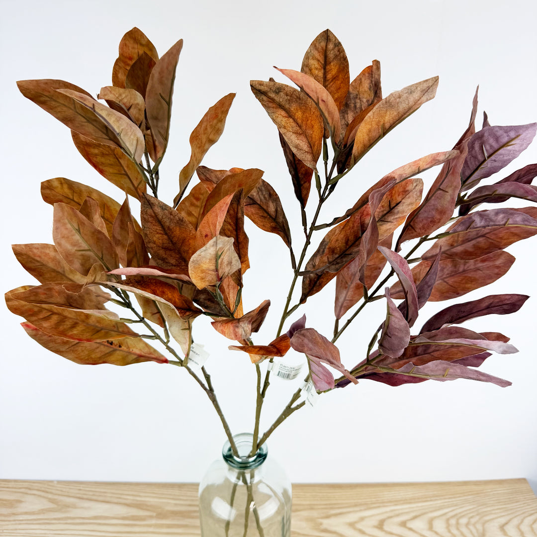 Croton Spray, 3 colors