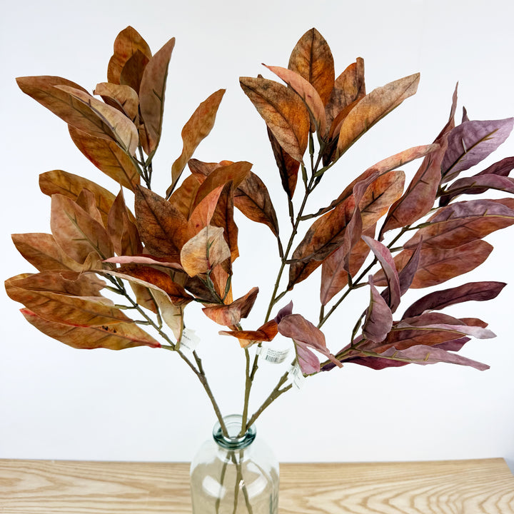 Croton Spray, 3 colors