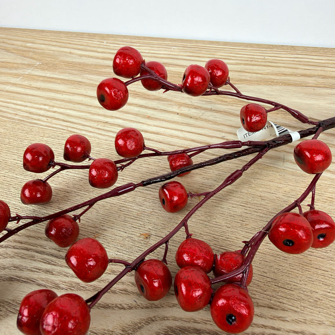 Red Outdoor Berry