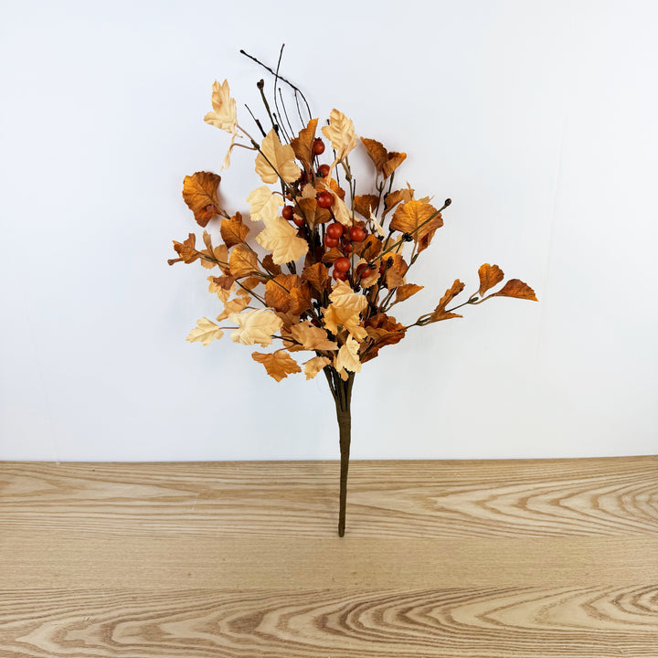 Fall Ginkgo Pick