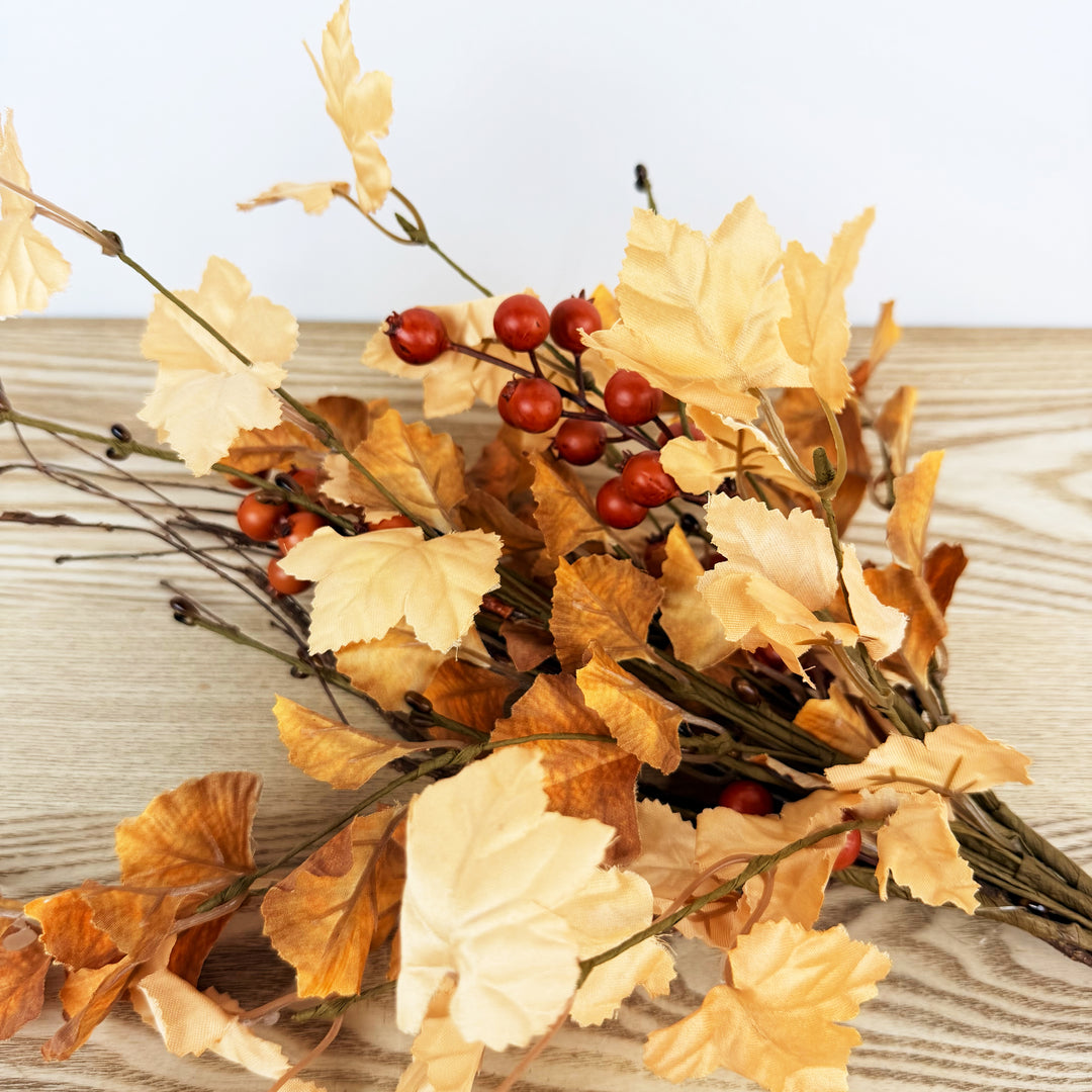 Fall Ginkgo Pick