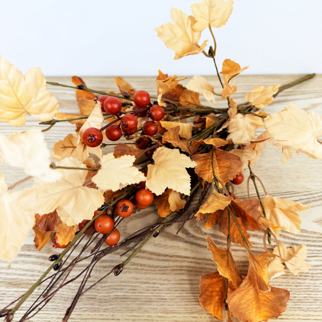 Fall Ginkgo Pick