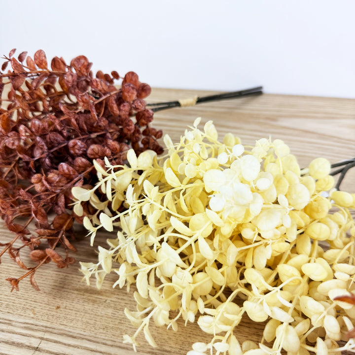 Eucalyptus Picks, 3 colors