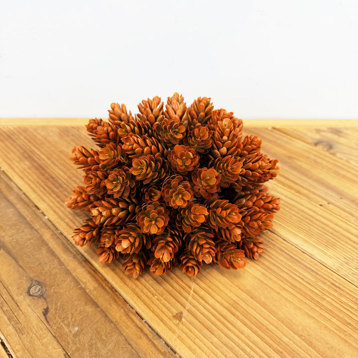 Orange Hops Orb