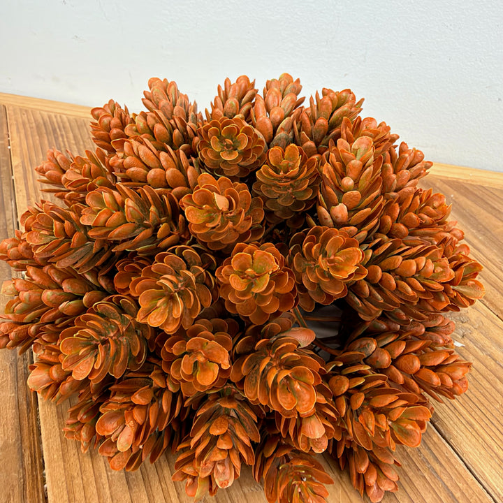 Orange Hops Orb