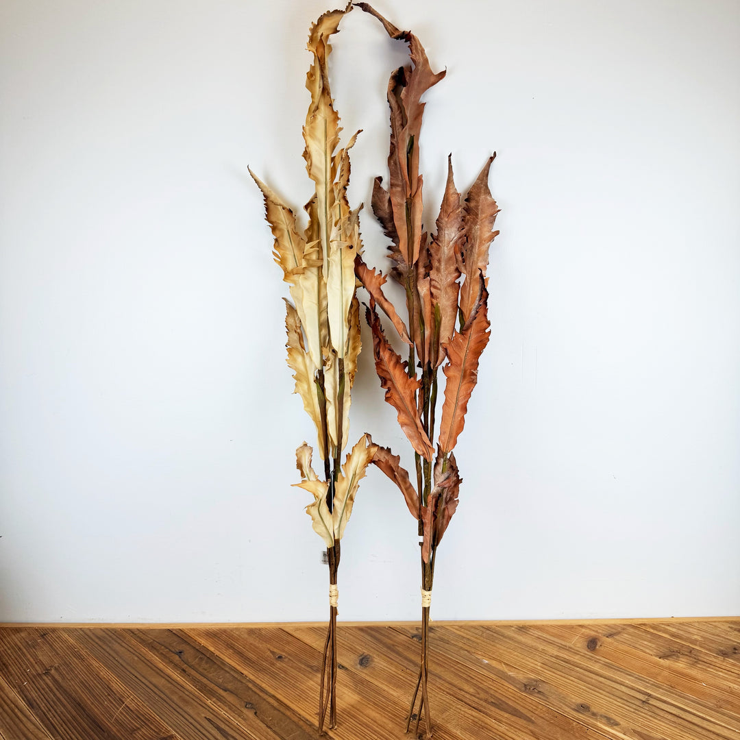 Dried Fern Bundle - 2 Colors