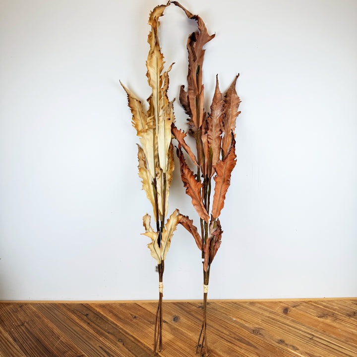 Dried Fern Bundle - 2 Colors