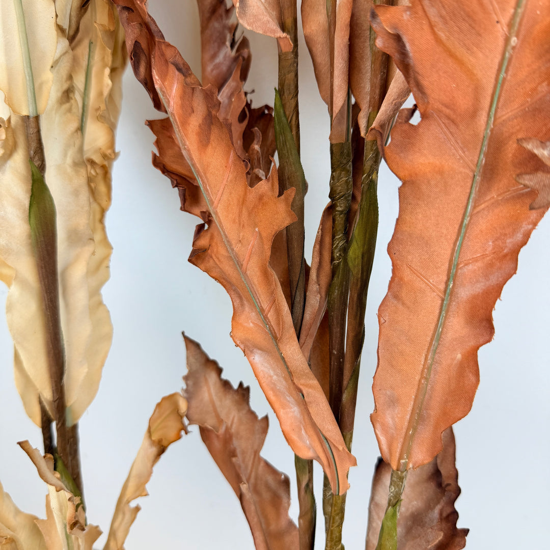 Dried Fern Bundle - 2 Colors