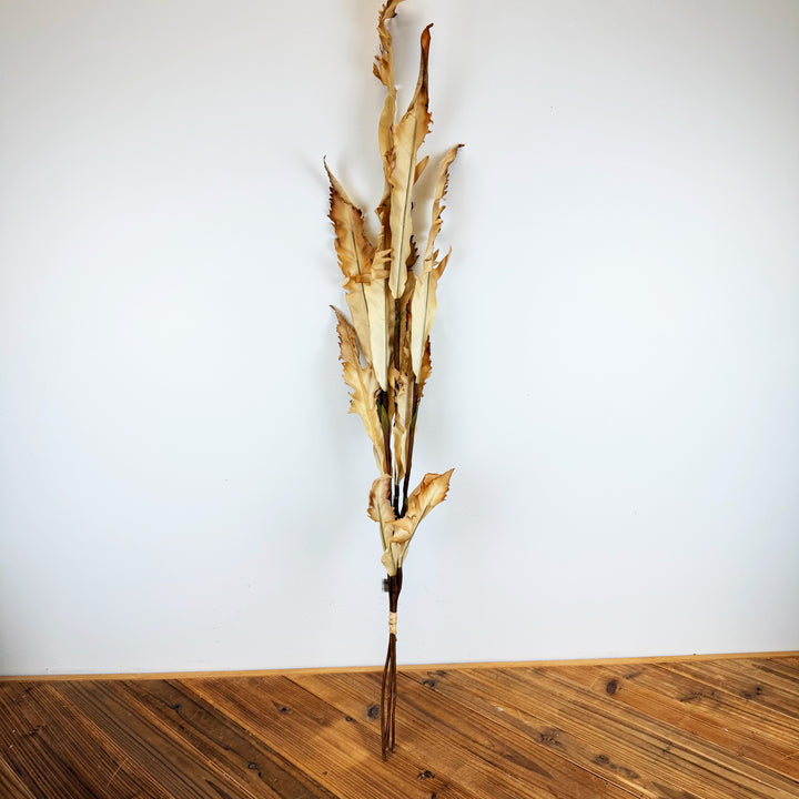 Dried Fern Bundle - 2 Colors