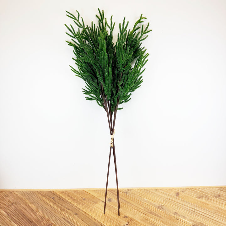 Tall Norfolk Pine Bundle
