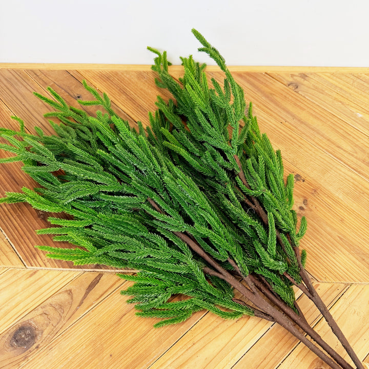 Tall Norfolk Pine Bundle