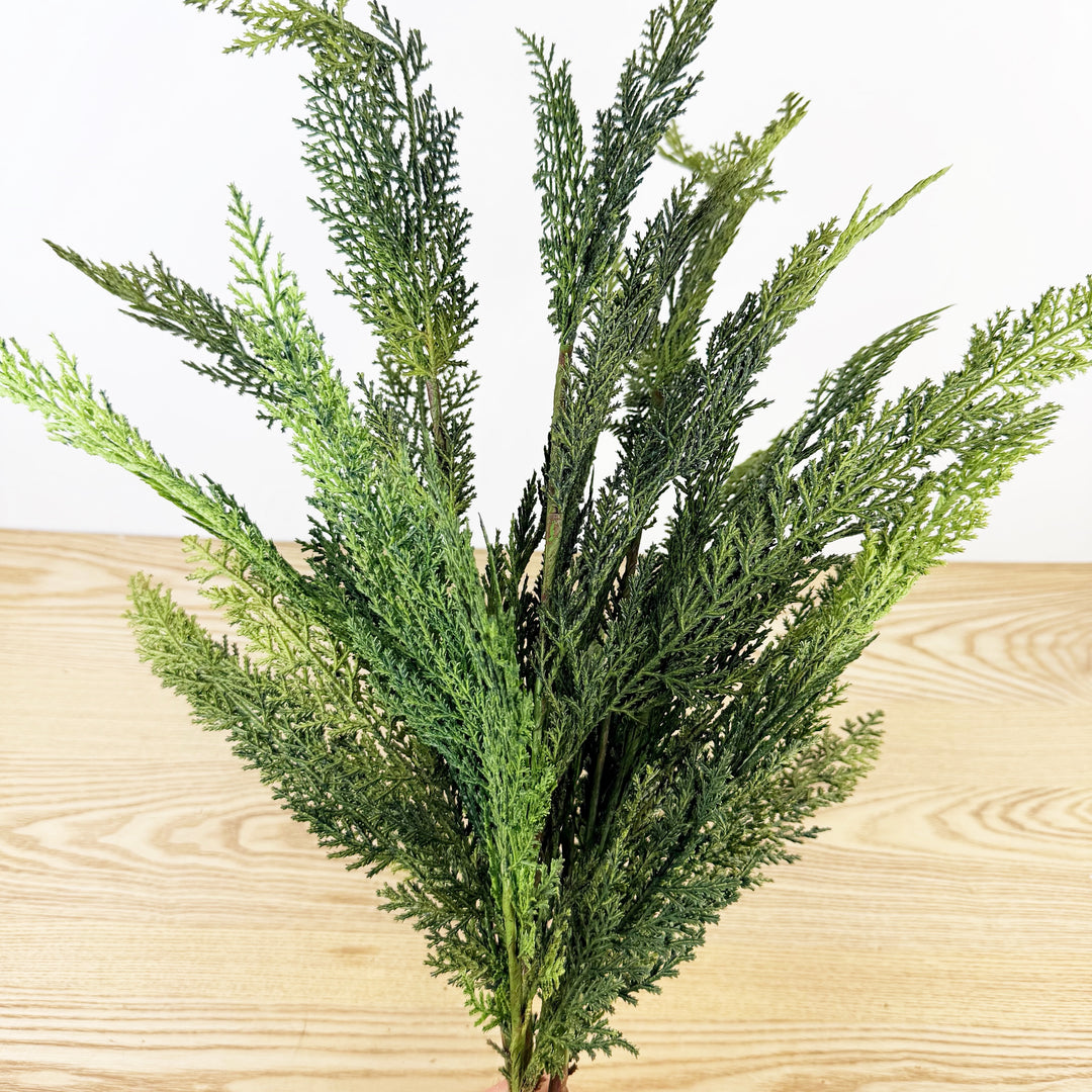 Cedar Bundle Real Touch