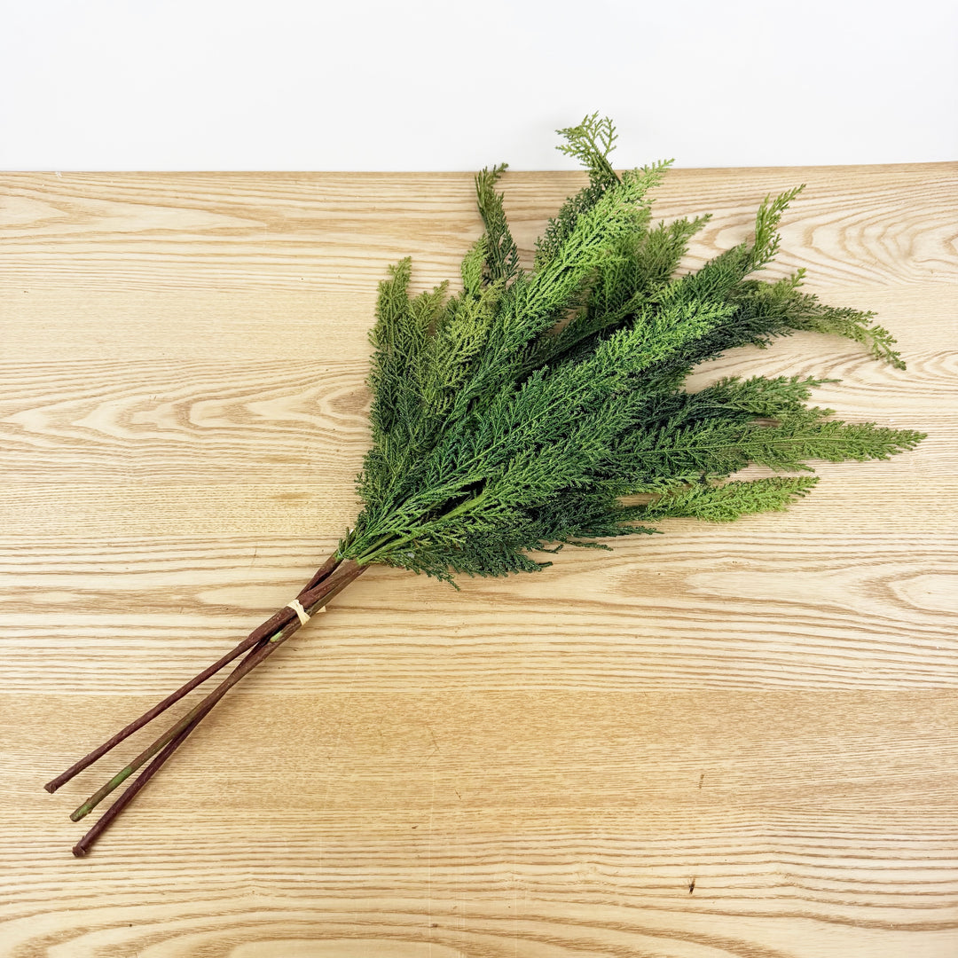Cedar Bundle Real Touch