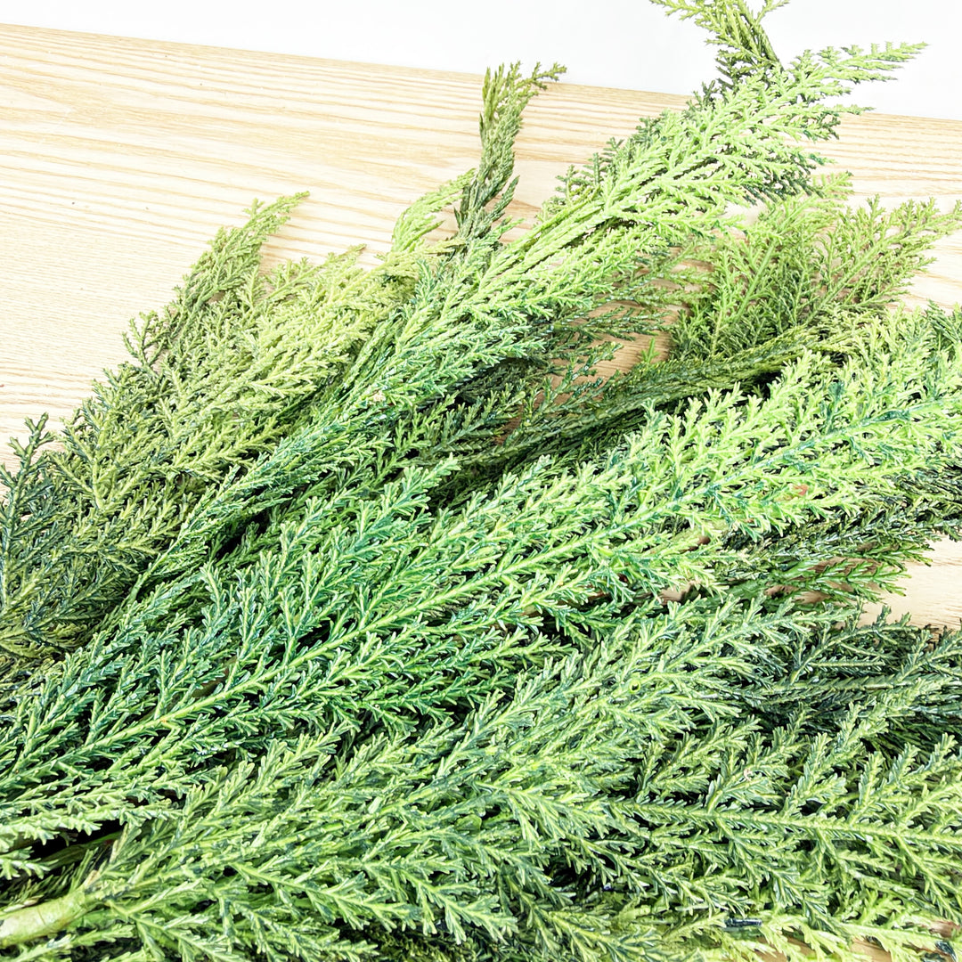 Cedar Bundle Real Touch