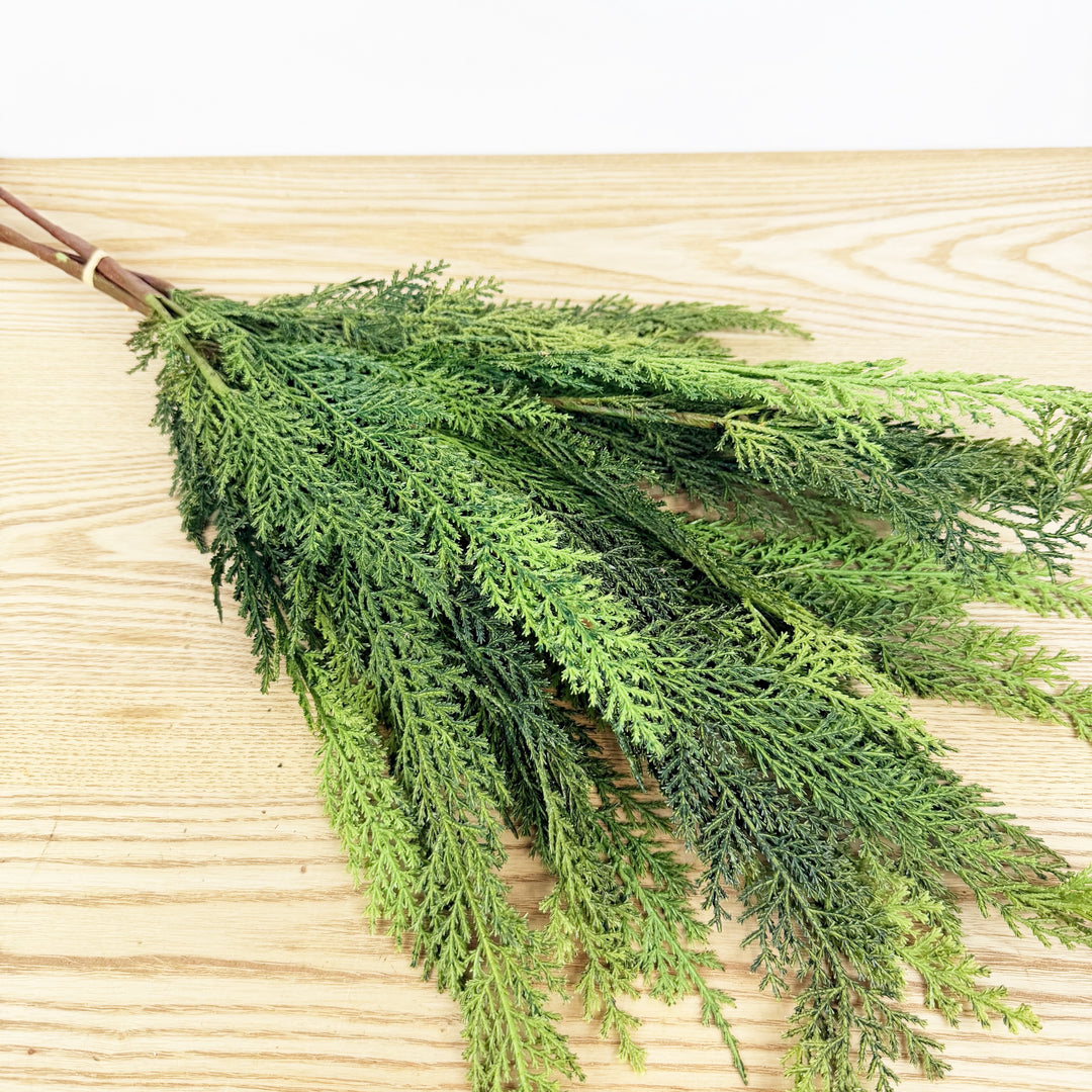Cedar Bundle Real Touch
