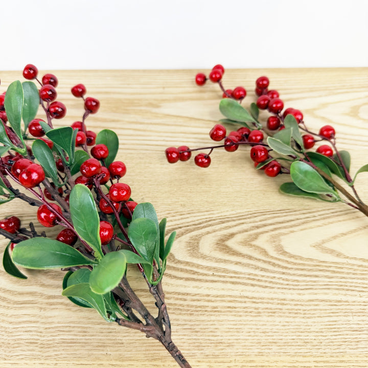 Red Berry Picks