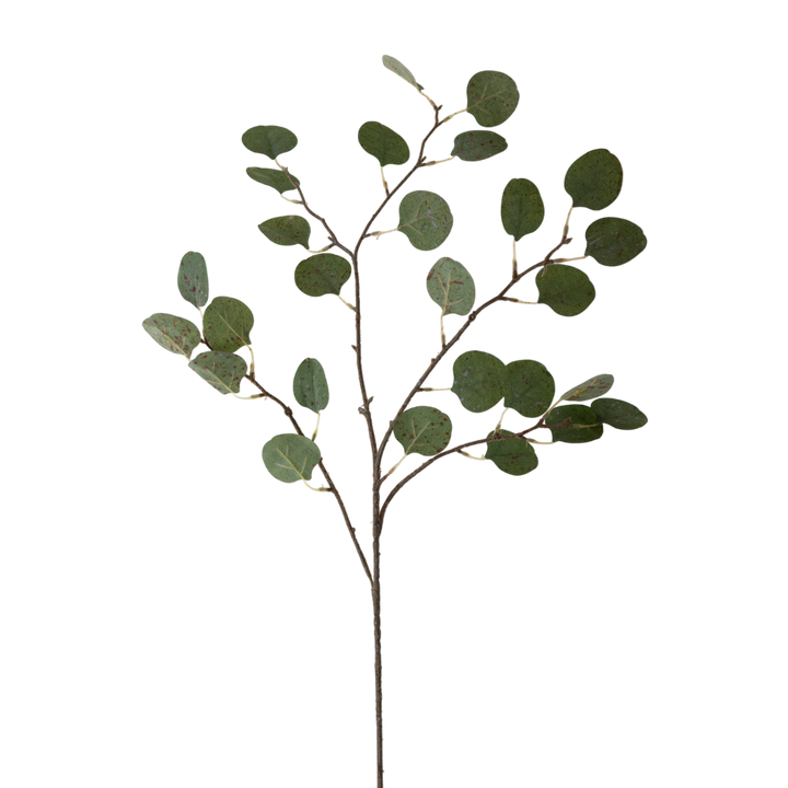 Real Touch Eucalyptus