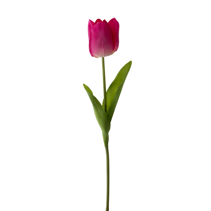 Real Touch Tulip Stem - 2 Colors