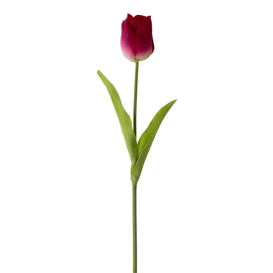 Real Touch Tulip Stem - 2 Colors