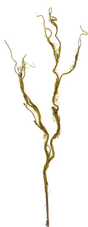 Mossy Twig Spray