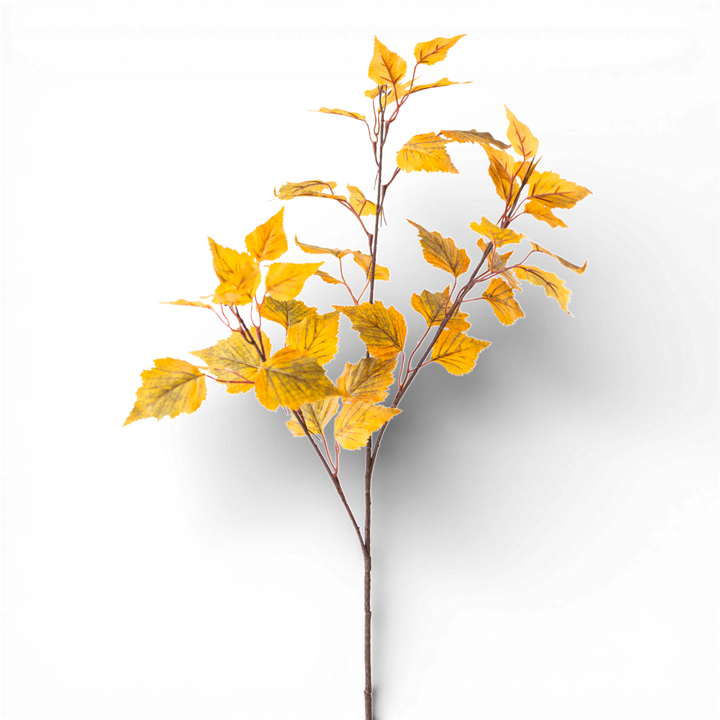 Birch Stem 37.5" H