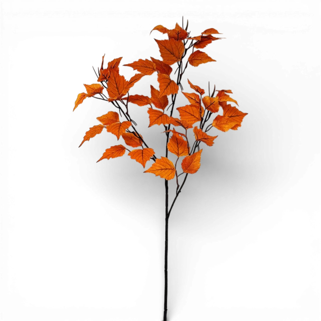 Birch Stem 37.5" H