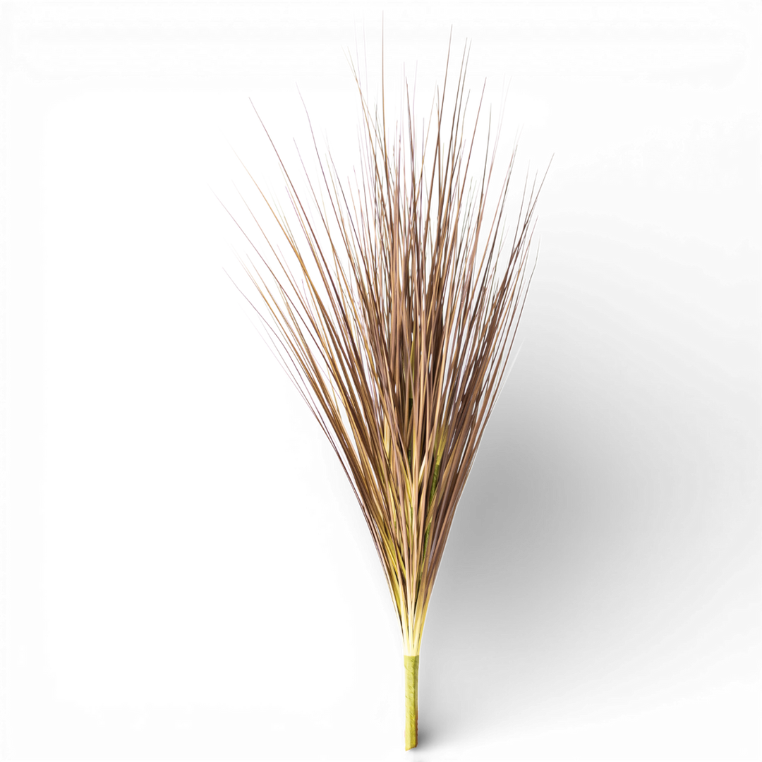 Onion Grass Spray