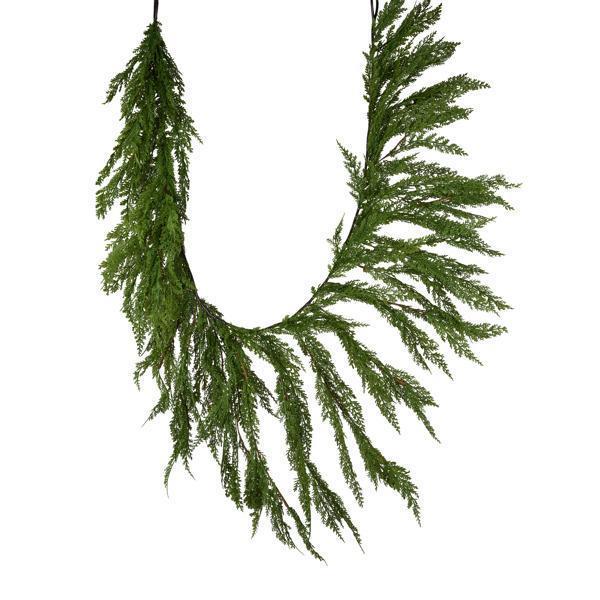 Cedar Collection