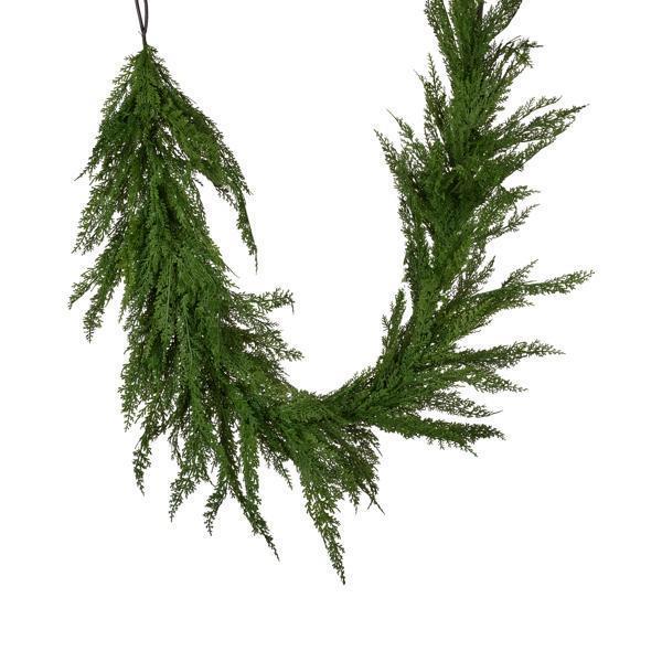 Cedar Collection