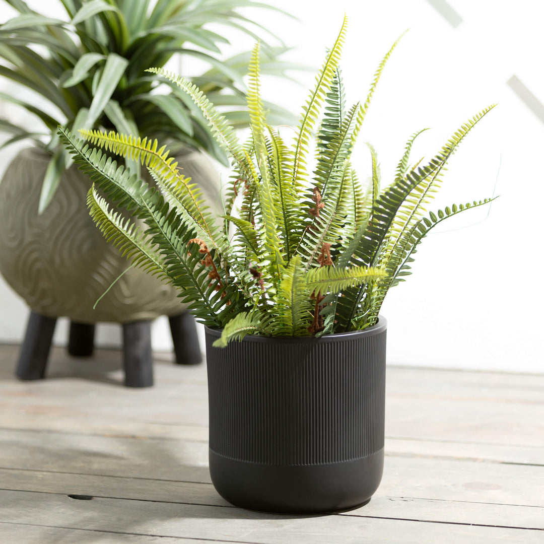 black ceramic planter indoor Textured Black Ceramic Planter