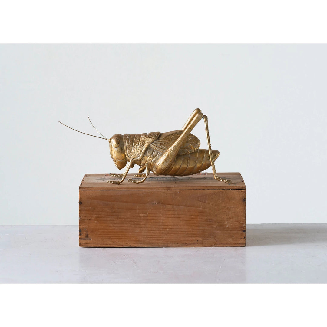 Gold Cricket