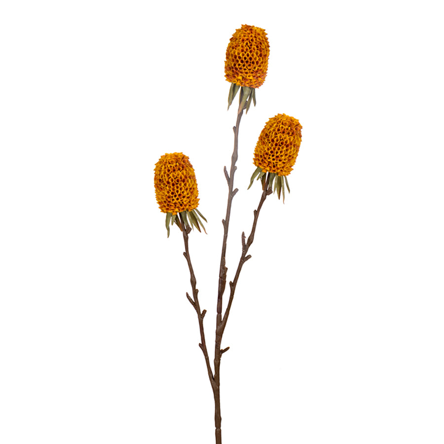 Ginger Spray - 3 Colors