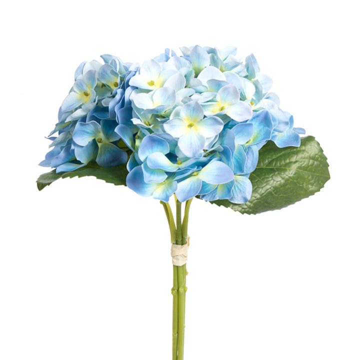 Hydrangea - 3 Colors