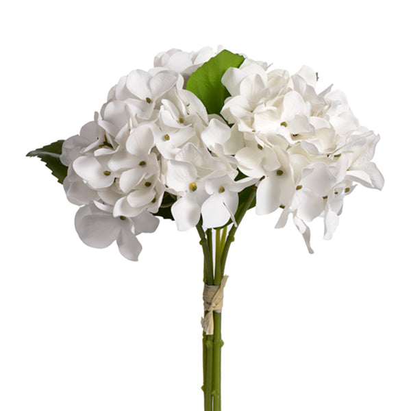 Hydrangea - 3 Colors