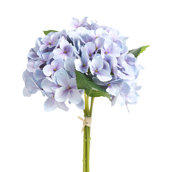 Hydrangea - 3 Colors