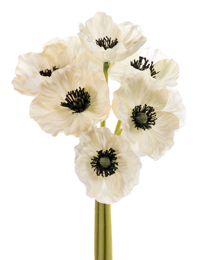 Anemone Stem Bundle