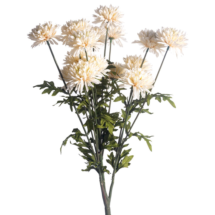 Mum Stem - 3 Colors