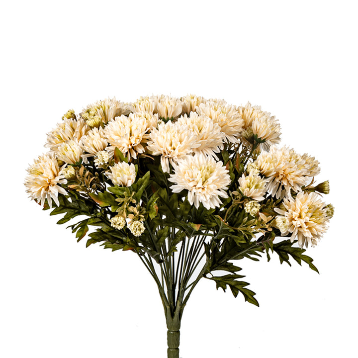 Mum Bush - 2 Colors