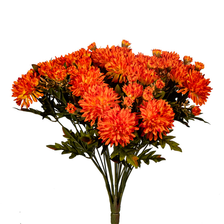 Mum Bush - 2 Colors