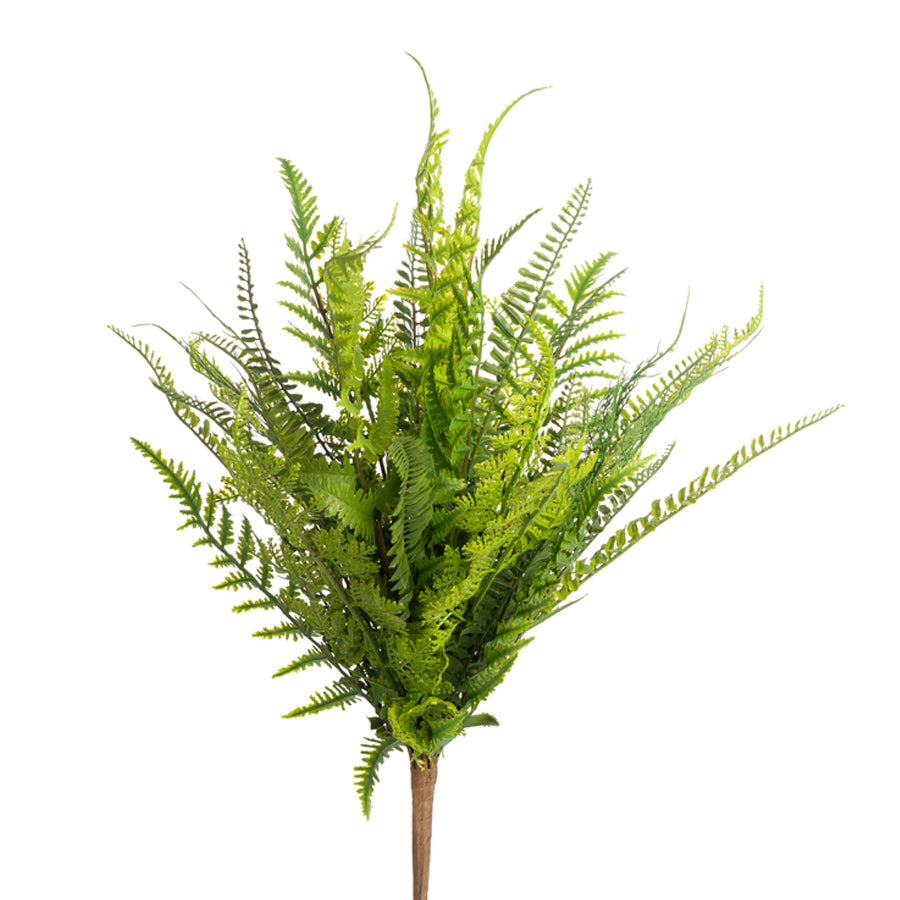 Soft Touch Mixed Fern Bush