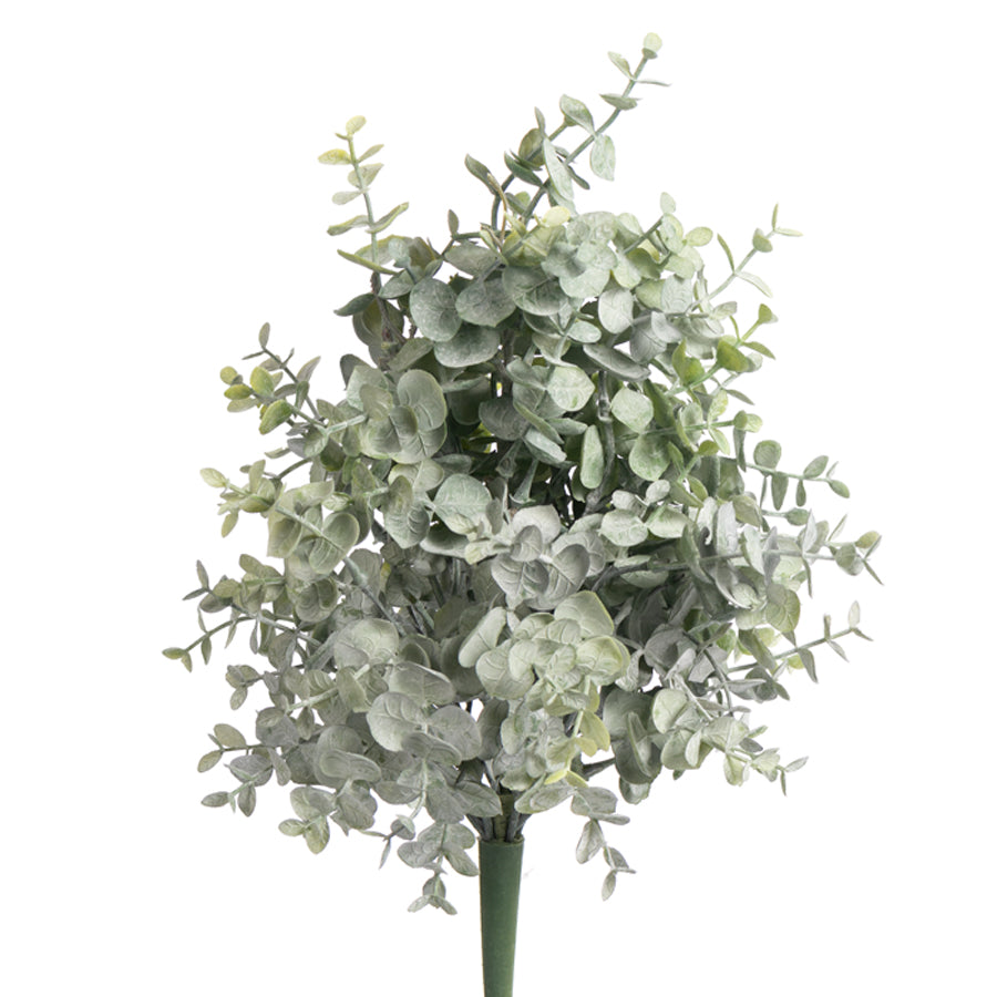 Soft Touch Eucalyptus Bush