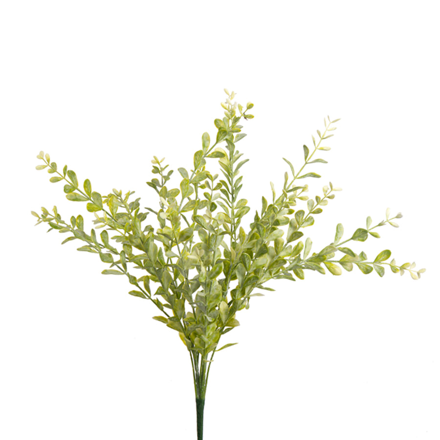 Boxwood Bush - 2 Colors