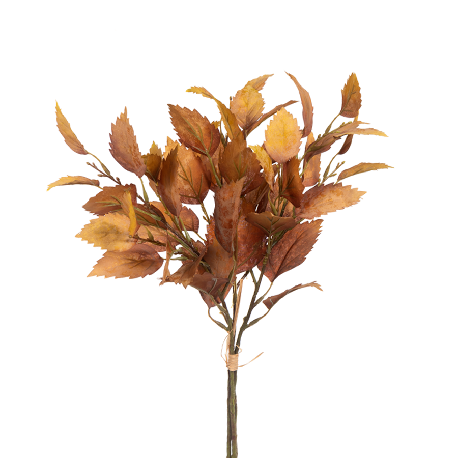 Birch Bundle
