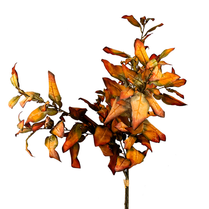 Dried Lemon Leaf Bundle - 2 Colors