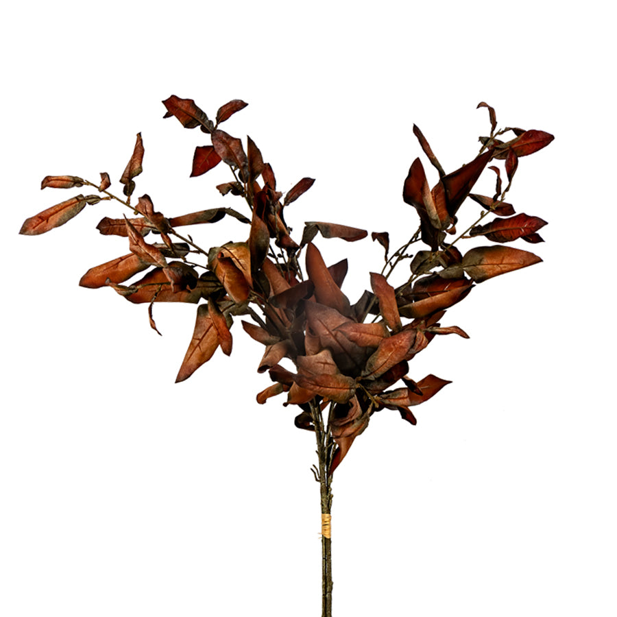 Dried Lemon Leaf Bundle - 2 Colors