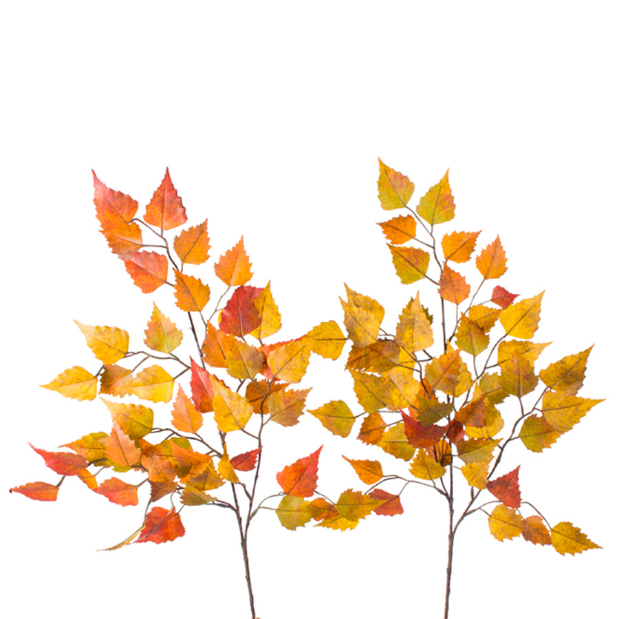 Birch Leaf Stem - 2 Colors