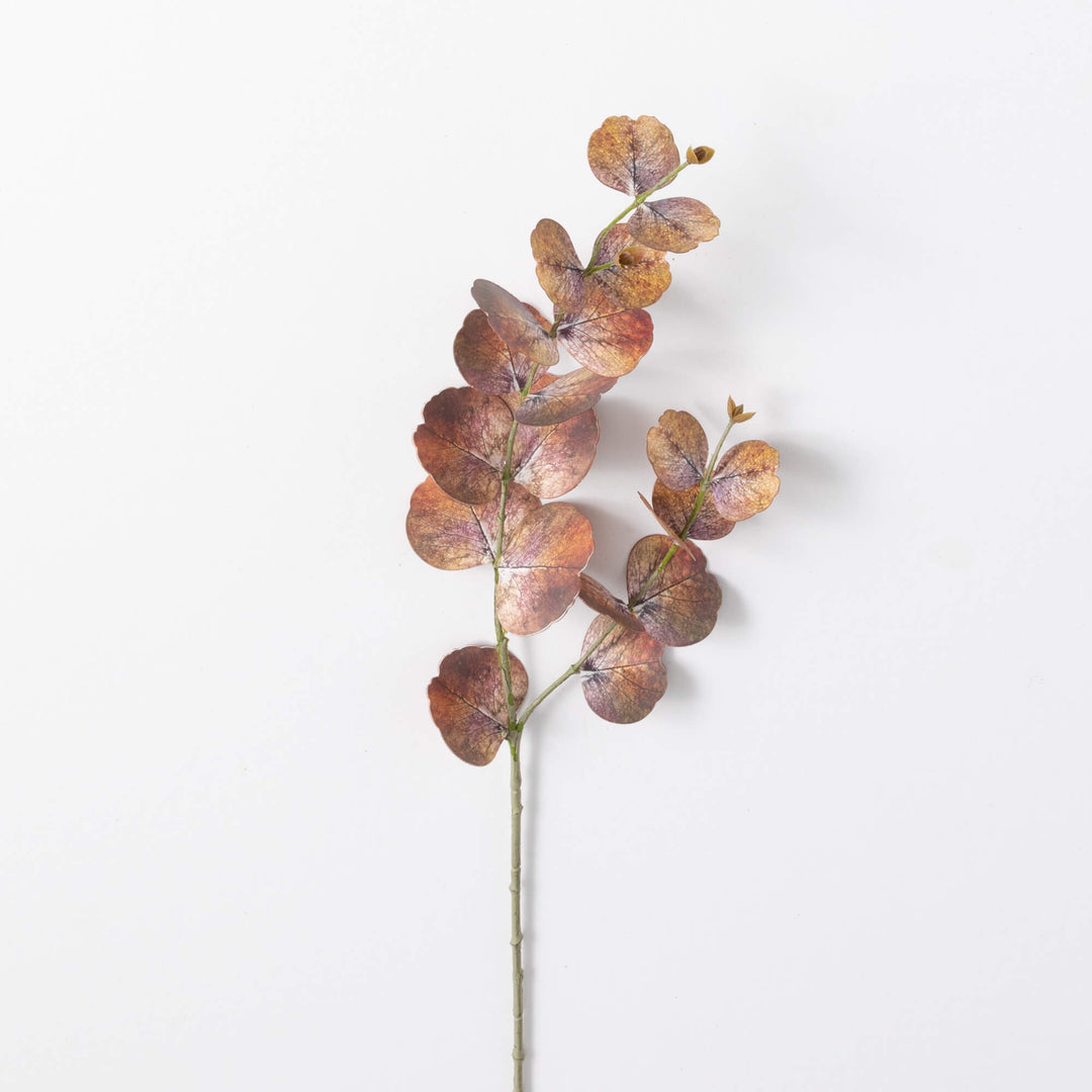 Eucalyptus Spray - 2 Colors