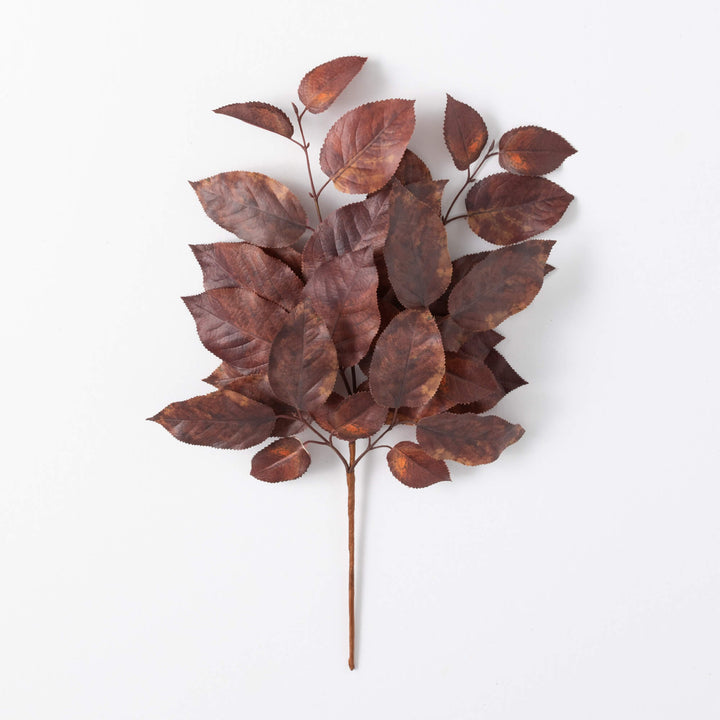 Salal Leaf Spray - 3 Colors