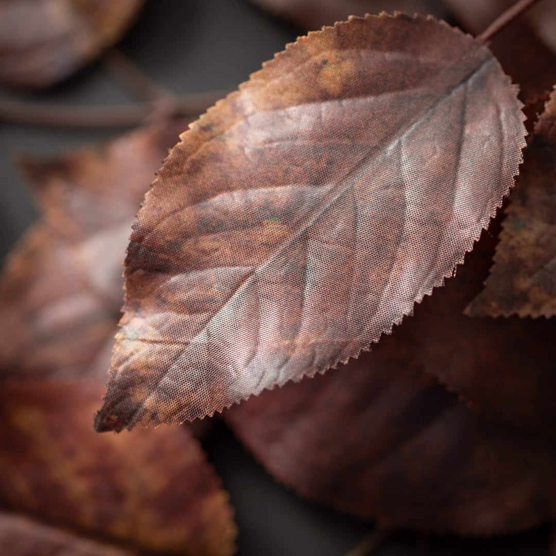 Salal Leaf Spray - 3 Colors